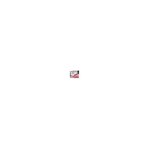 JoeFrex Šepetys JoeFrex Groupbrush Basic 5,99 EUR