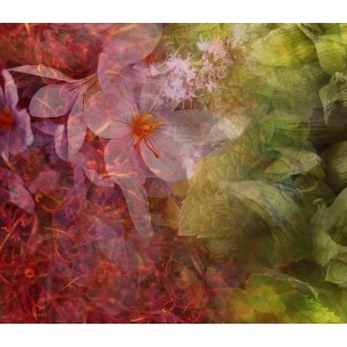 Dr. Vranjes Firenze Dr. Vranjes namų kvapo papildymas VELVET SAFFRON 500ml 82,00 EUR