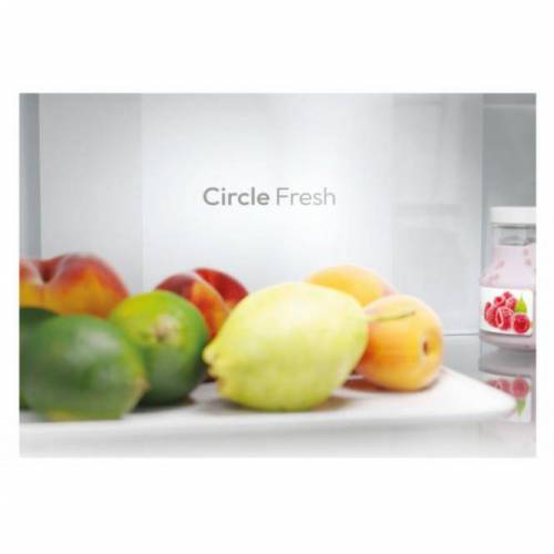 CANDY Šaldytuvas Candy ECN2CQTEW186 449,00 €