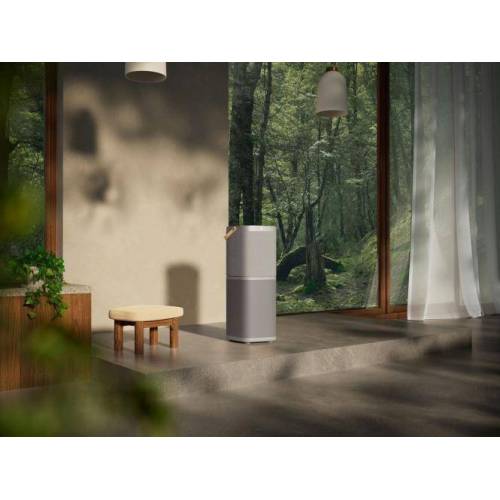 ELECTROLUX Oro valytuvas Electrolux EPO60771UG pilkas 409,00 €