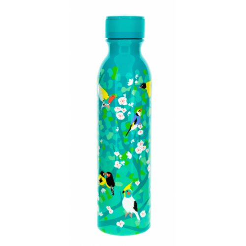 Pylones MAXI termosas BIRD 39,99 EUR