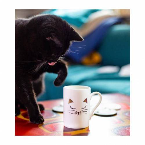 Pylones Schluck MUG arbatos puodelis WHCAT 12,99 €
